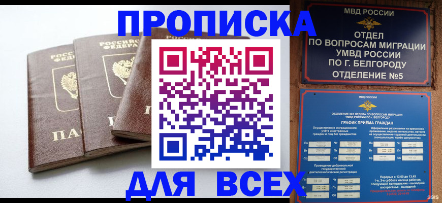 прописка в Бородино